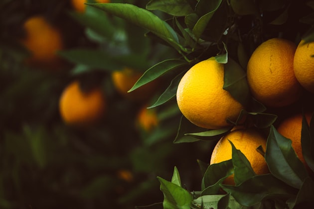 Arancio dolce